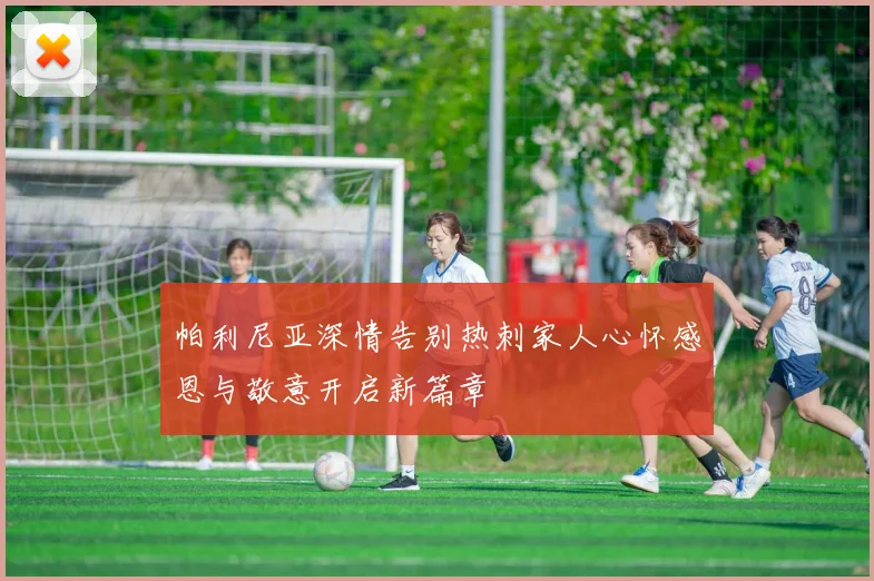 帕利尼亚深情告别热刺家人心怀感恩与敬意开启新篇章